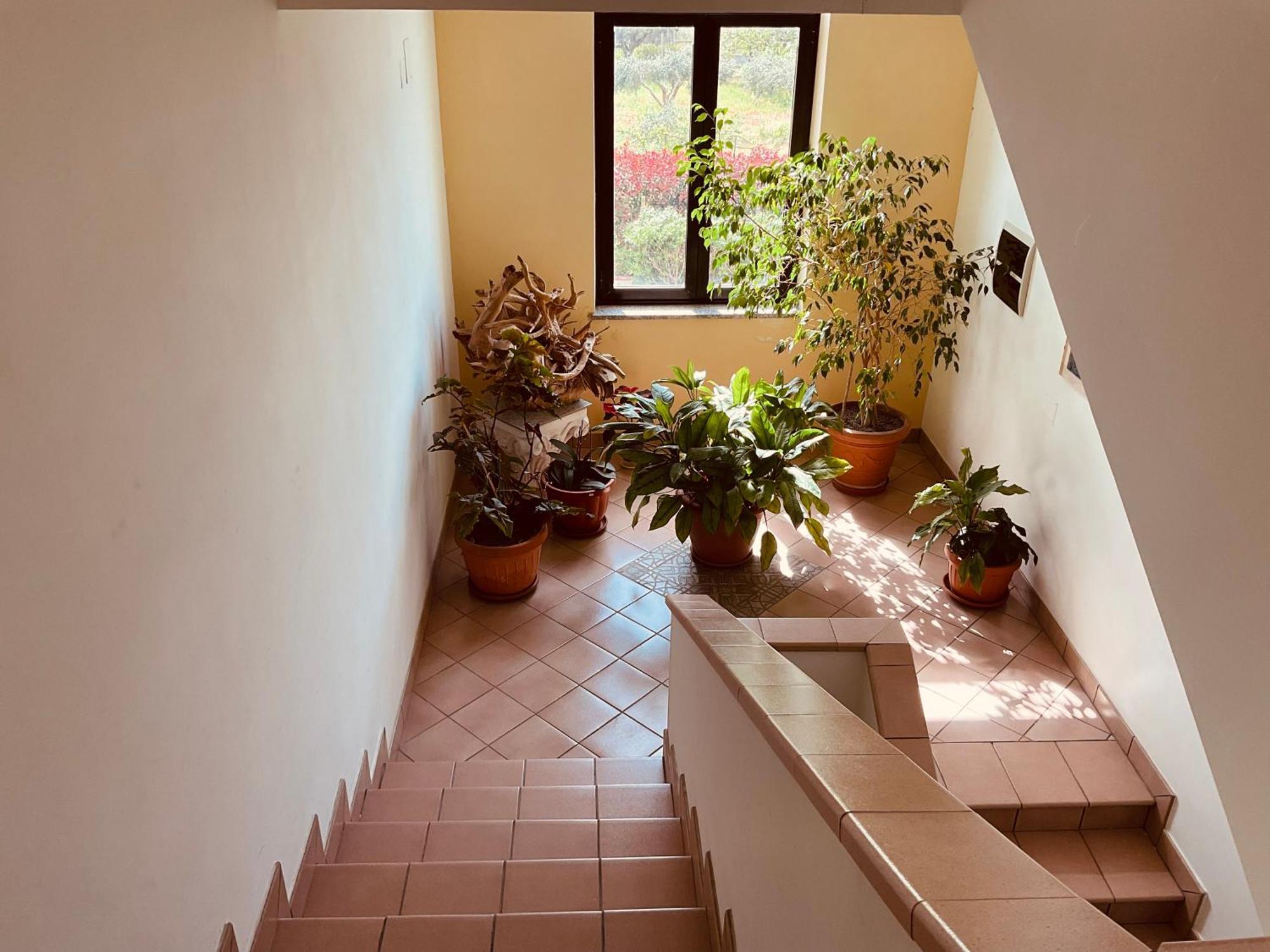 Casa Vacanza Demetra มารีนา ดิ ฟุสกัลโด ภายนอก รูปภาพ