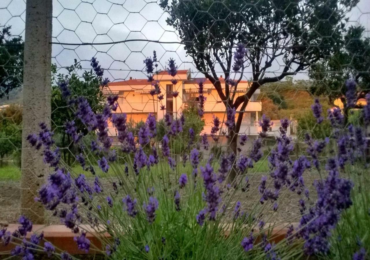 Casa Vacanza Demetra มารีนา ดิ ฟุสกัลโด ภายนอก รูปภาพ